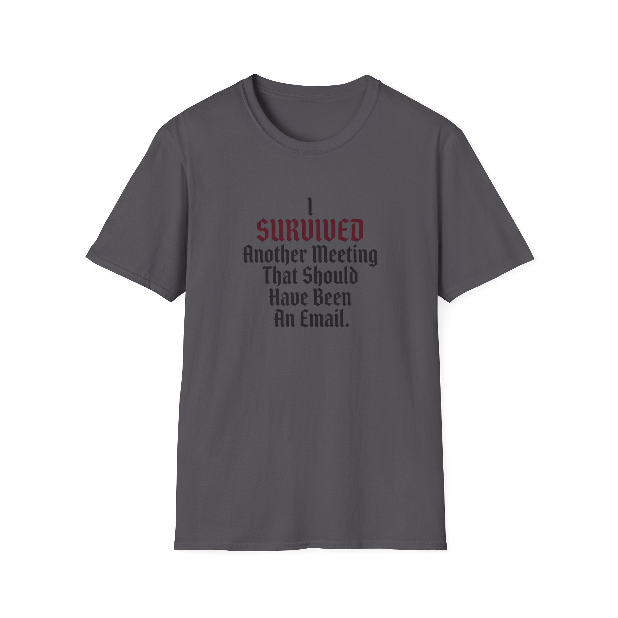 I Survived Another Meeting That Should Have Been An Email T-Shirt