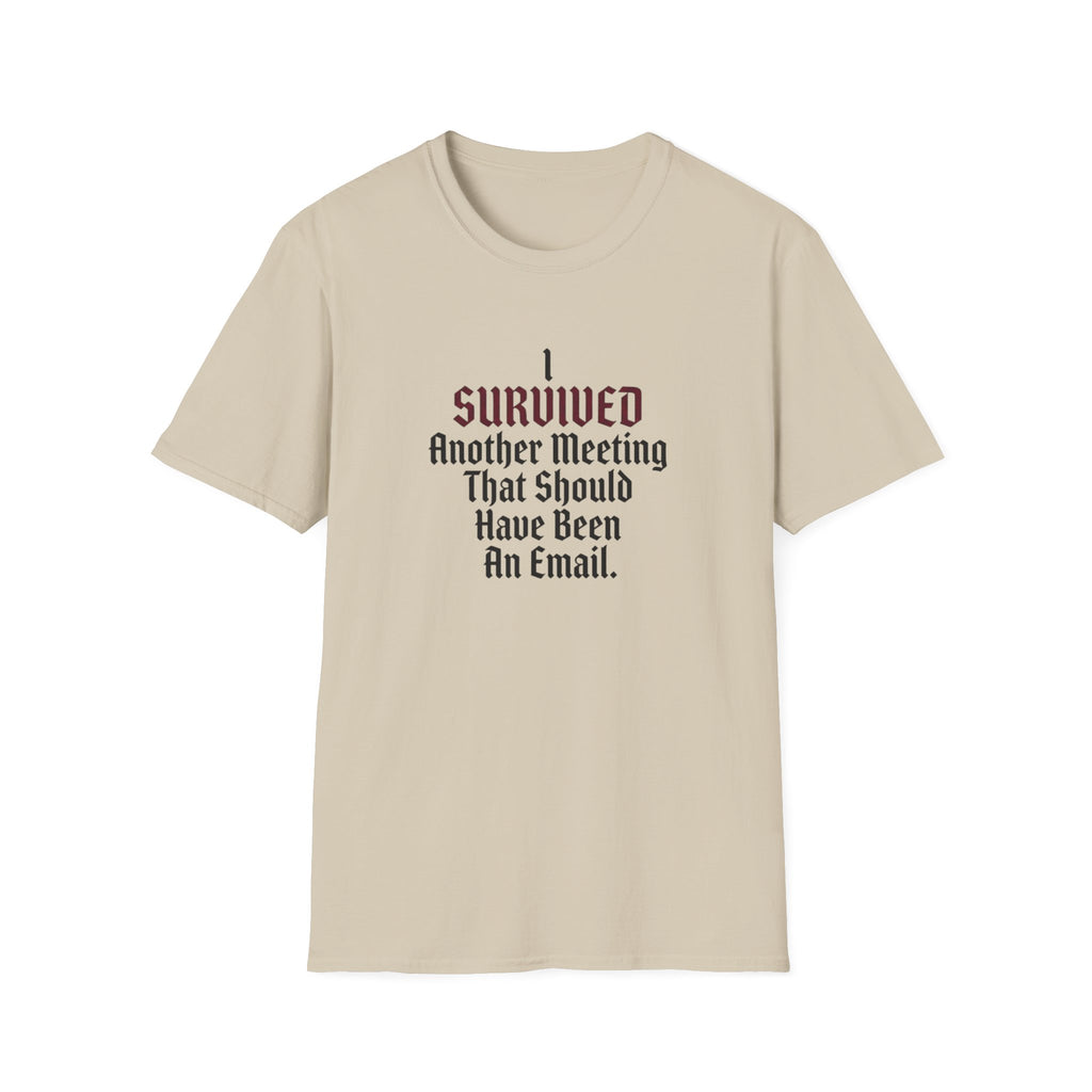 I Survived Another Meeting That Should Have Been An Email T-Shirt
