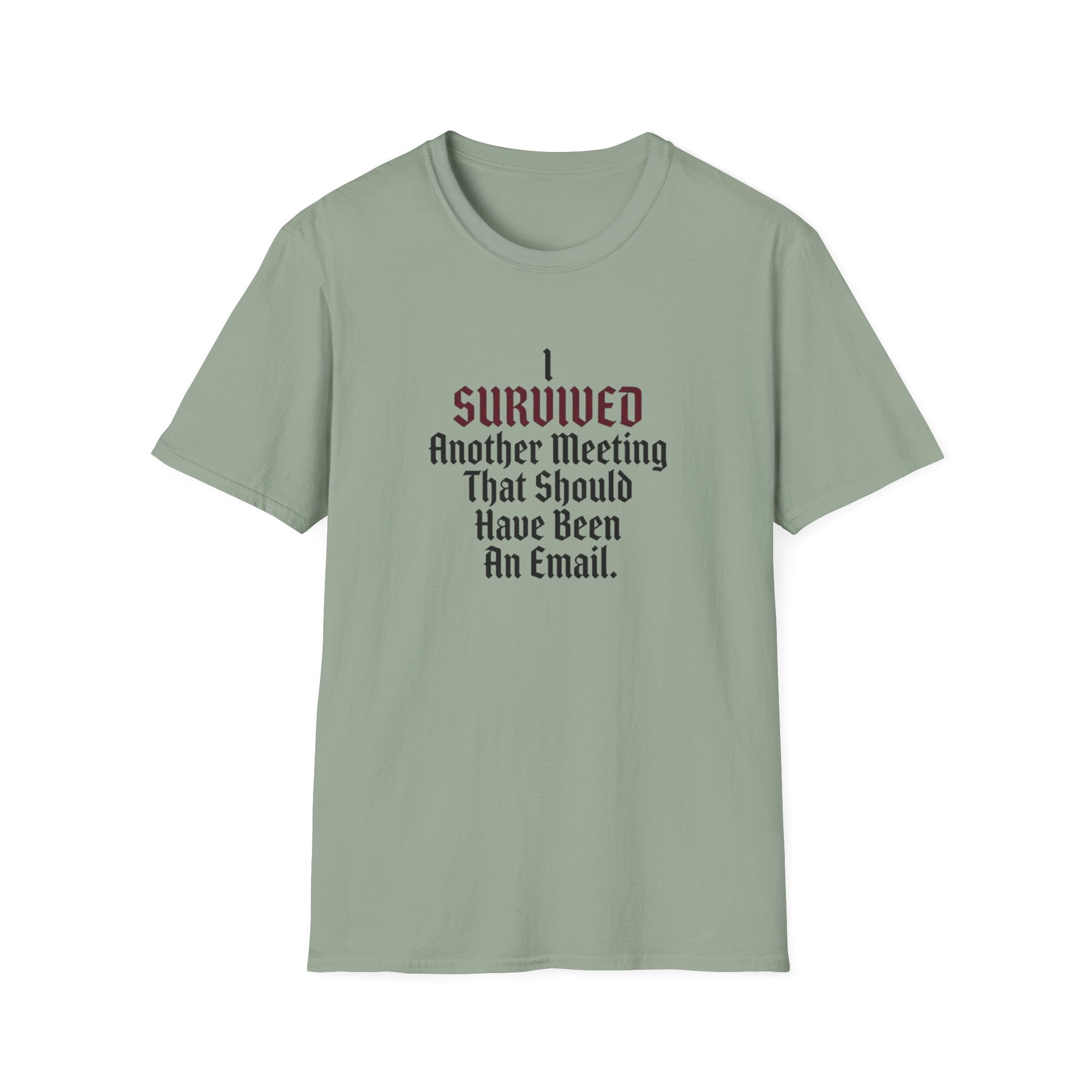 I Survived Another Meeting That Should Have Been An Email T-Shirt