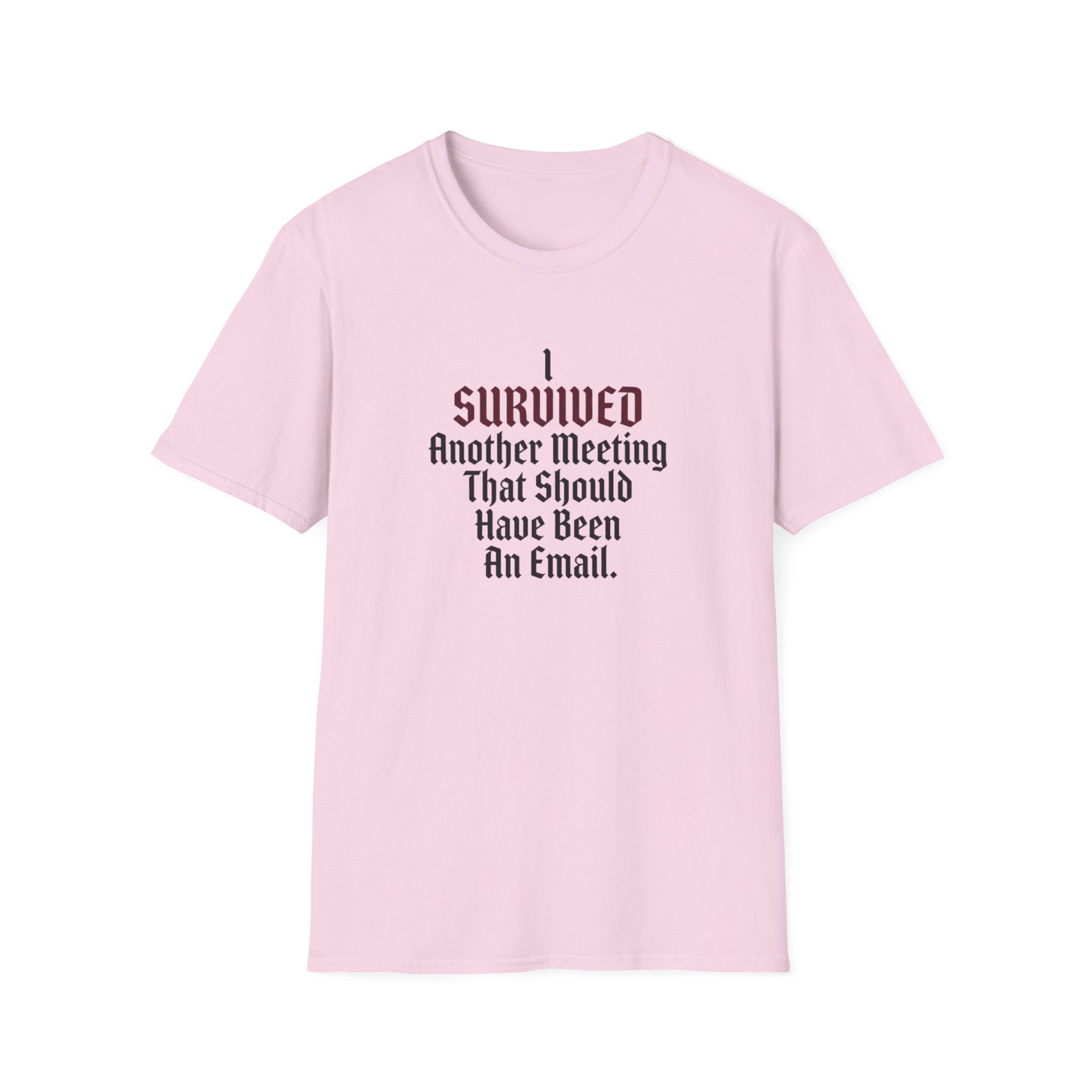 I Survived Another Meeting That Should Have Been An Email T-Shirt